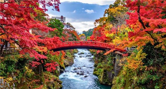 Tour Nhật Bản Cung Đường Tokyo - Núi Phú Sĩ - Enoshima Mùa Thu